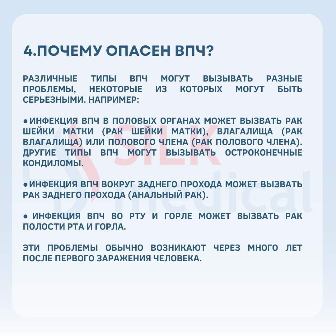FB_IMG_1727947270468.jpg