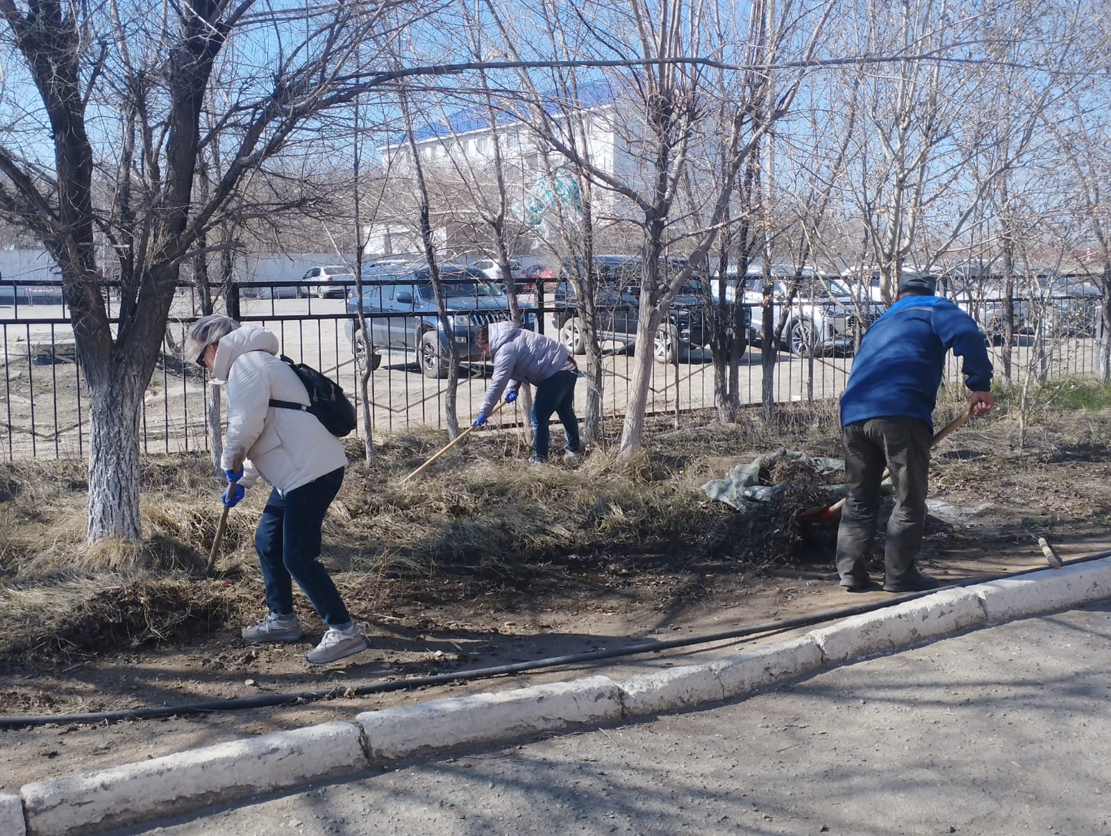IMG-20250405-WA0003.jpg