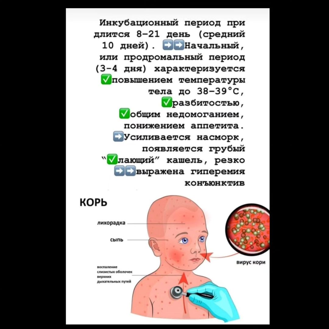 cb1_satpaev_1706259997711728.jpg